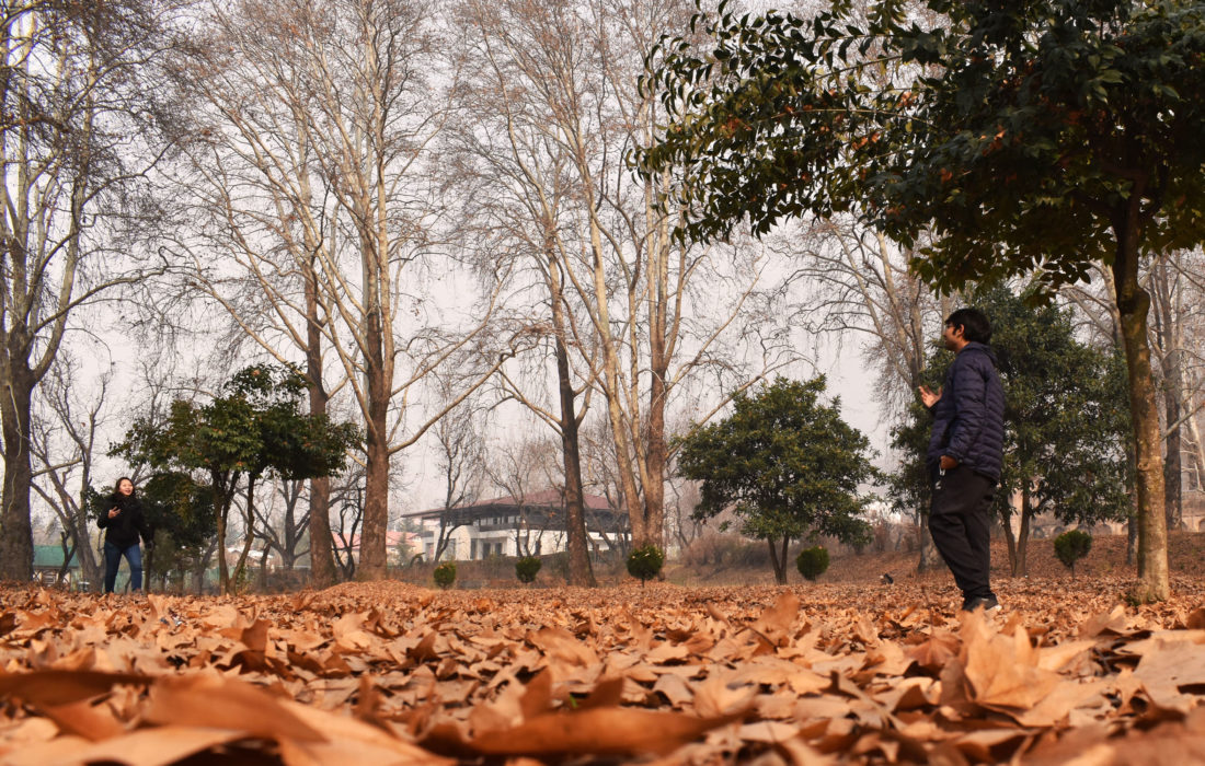 Nishad Bagh, Srinagar