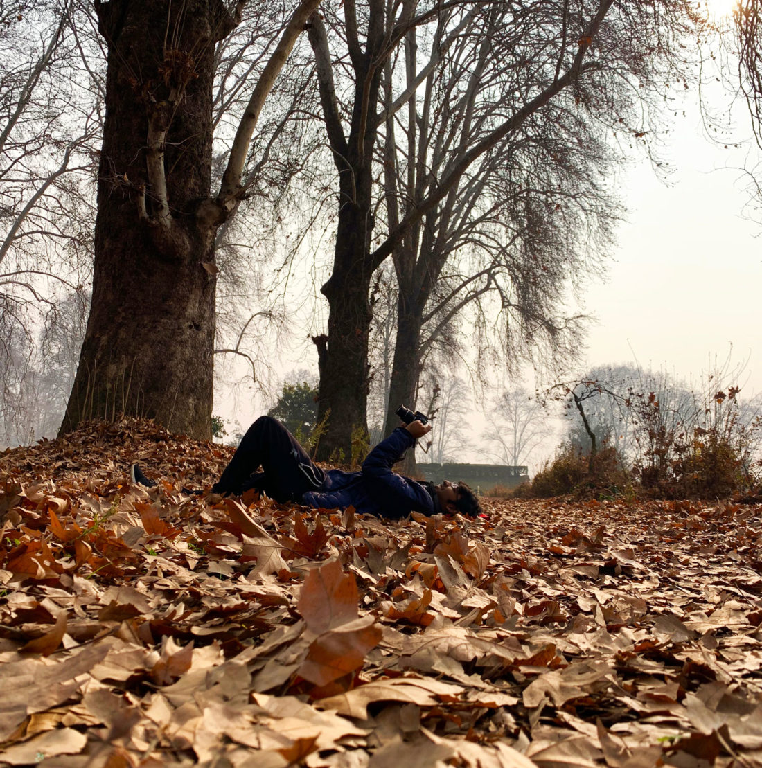 Nishad Garden, Srinagar