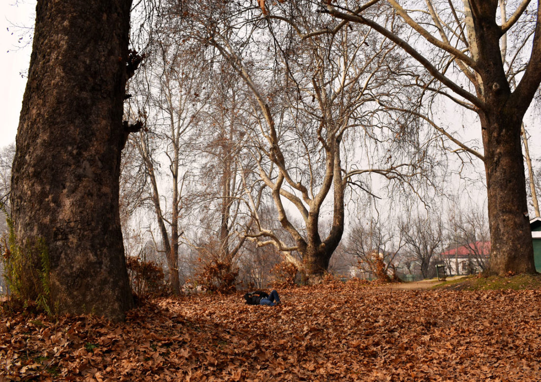 Nishad Bagh, Srinagar