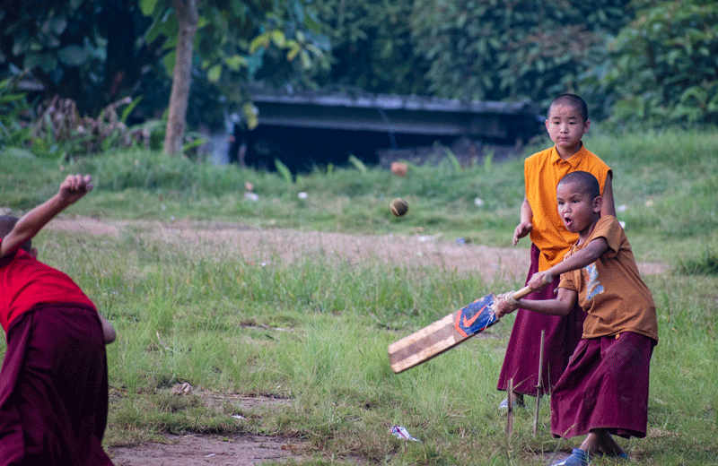 monks playing cricket